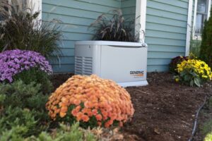 Generator Electricity Willis TX