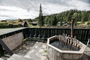 A photo of a well inside a house yard
