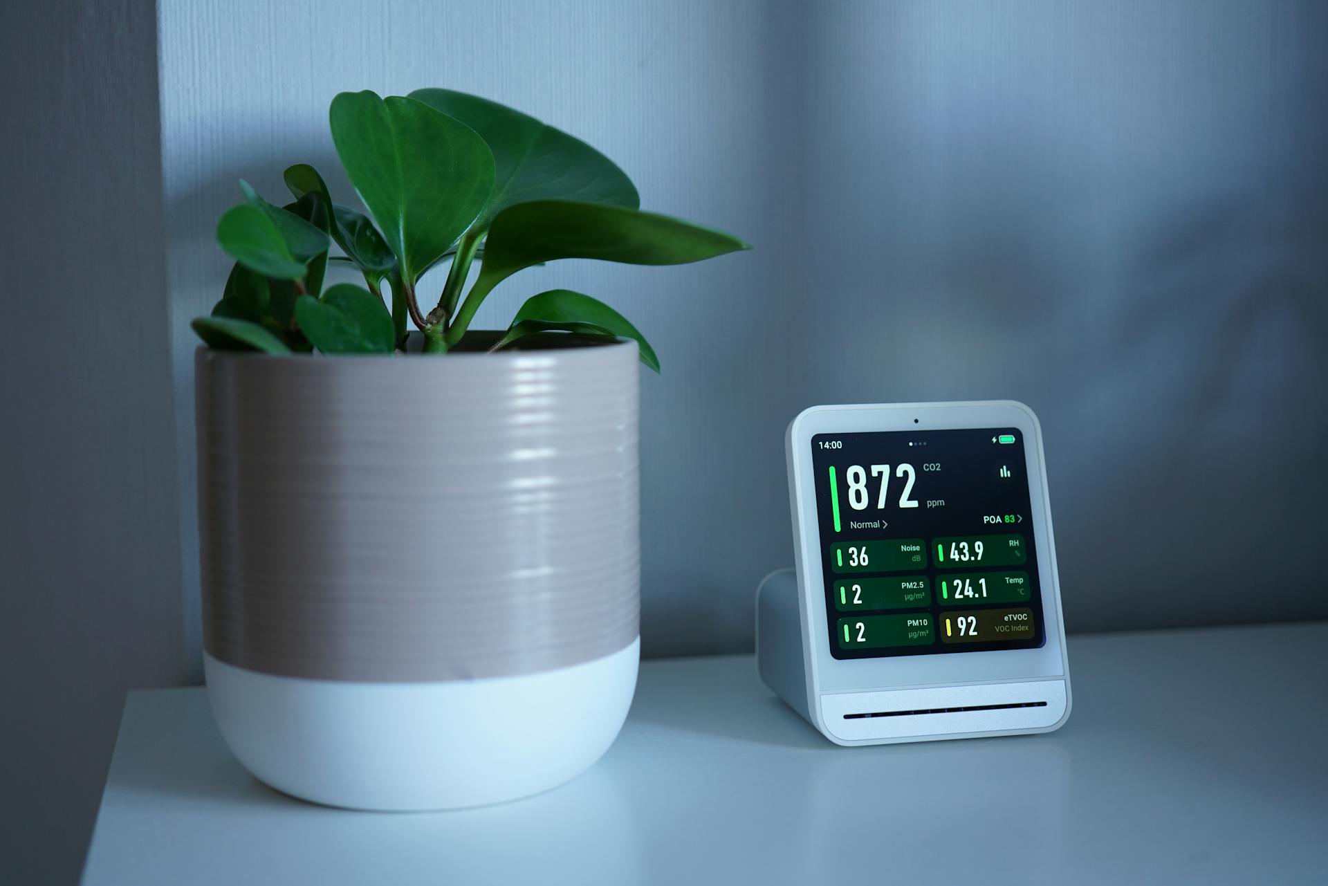 Indoor plant and a smart monitor